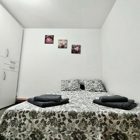 Lavanda Studio Braşov Eksteriør billede