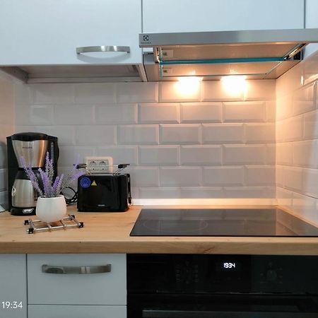 Lavanda Studio Braşov Eksteriør billede
